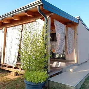  Apartment Nature Eco-friendly Pet-friendly